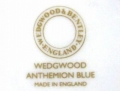 WWアンセミオンブルー　ロゴ